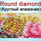 Diamond Painting Squareround Custom Painting Rhinestone  Embroidery