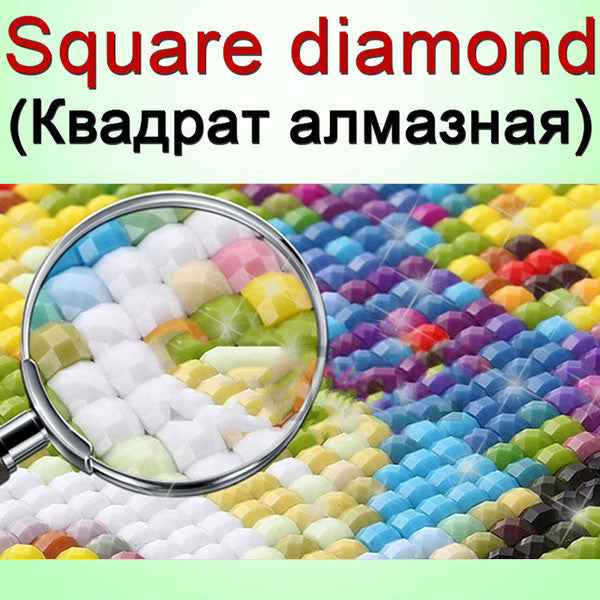Diamond Painting Squareround Custom Painting Rhinestone  Embroidery
