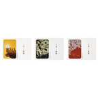 Chinese Style Four Seasons Postcard Forbidden City Greeting Cards for Friends-5